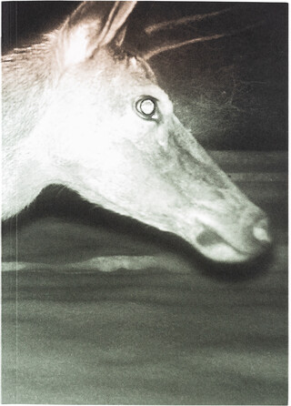 Trapped Trapped – book cover closed