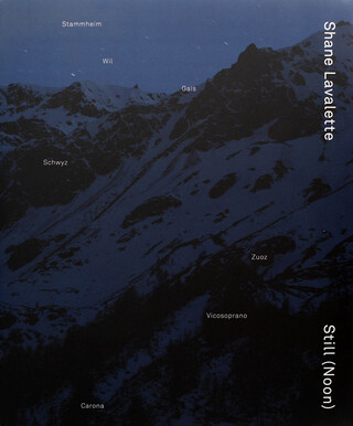 Still (Noon) Still (Noon) – book cover closed